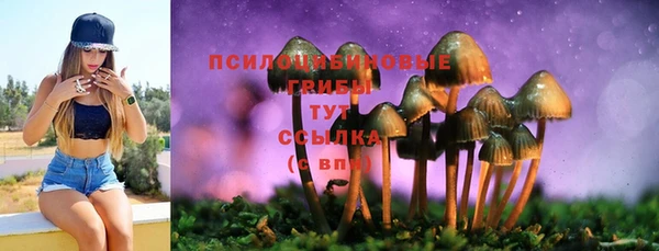 стафф Алзамай