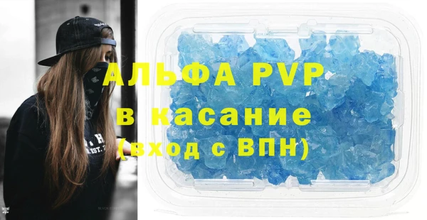 стафф Алзамай
