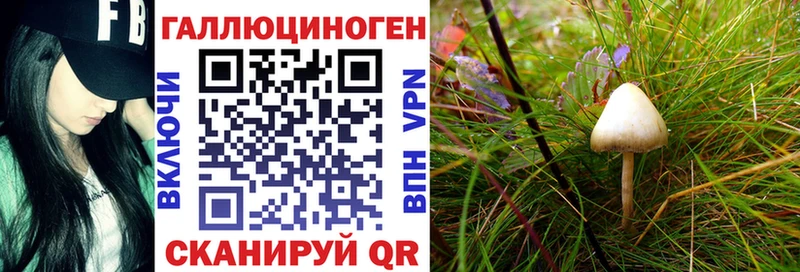 Галлюциногенные грибы мицелий  купить наркотик  Перевоз 