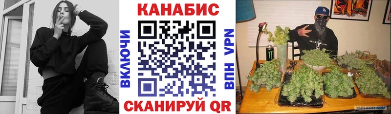 купить наркотики сайты  Перевоз  Шишки марихуана планчик 